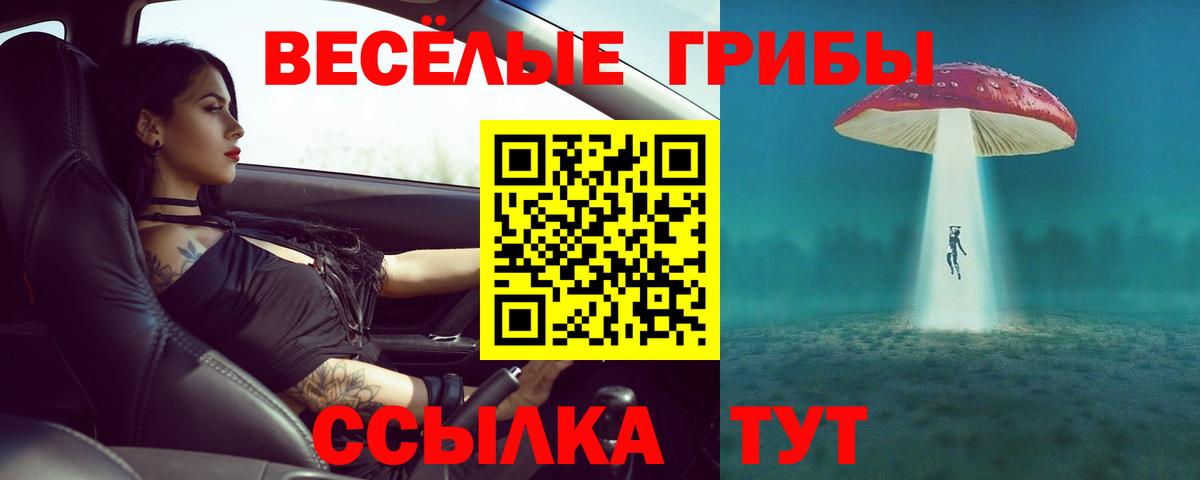 Псилоцибиновые грибы Cubensis Дагестанские Огни